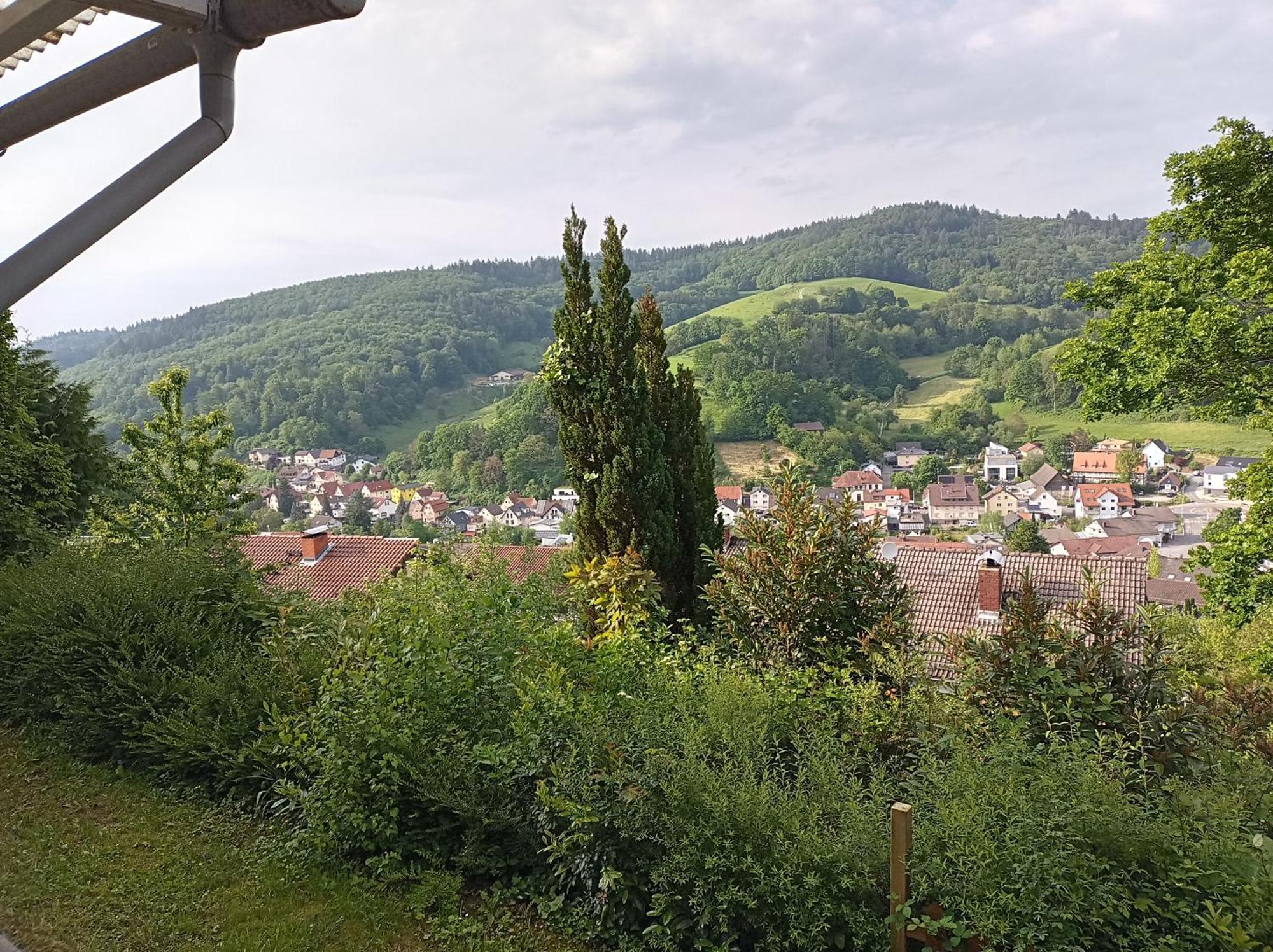 Das Tor Zum Odenwald Gorxheimertal Exterior foto