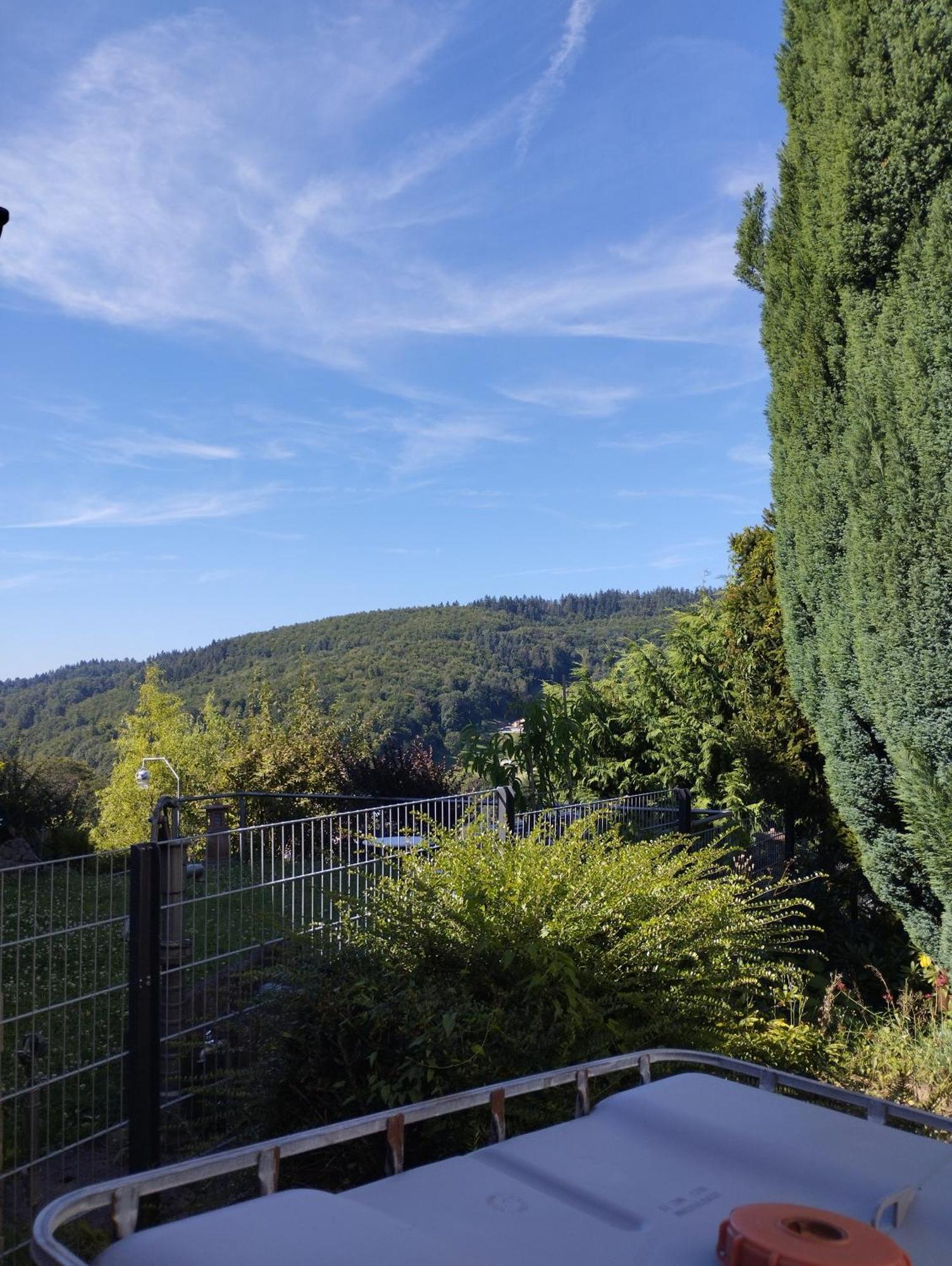Das Tor Zum Odenwald Gorxheimertal Exterior foto