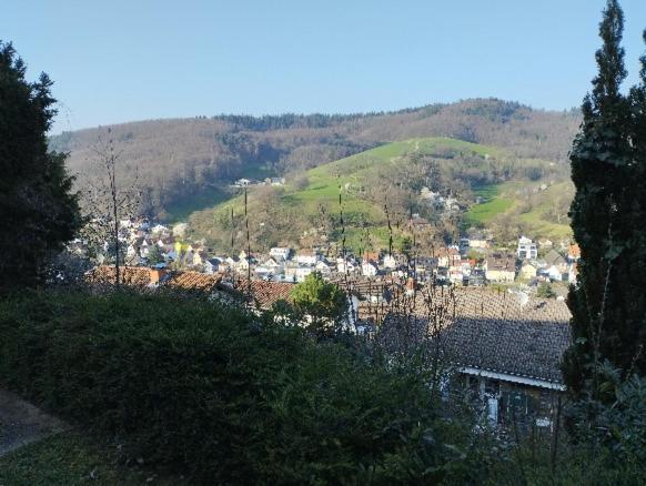 Das Tor Zum Odenwald Gorxheimertal Exterior foto